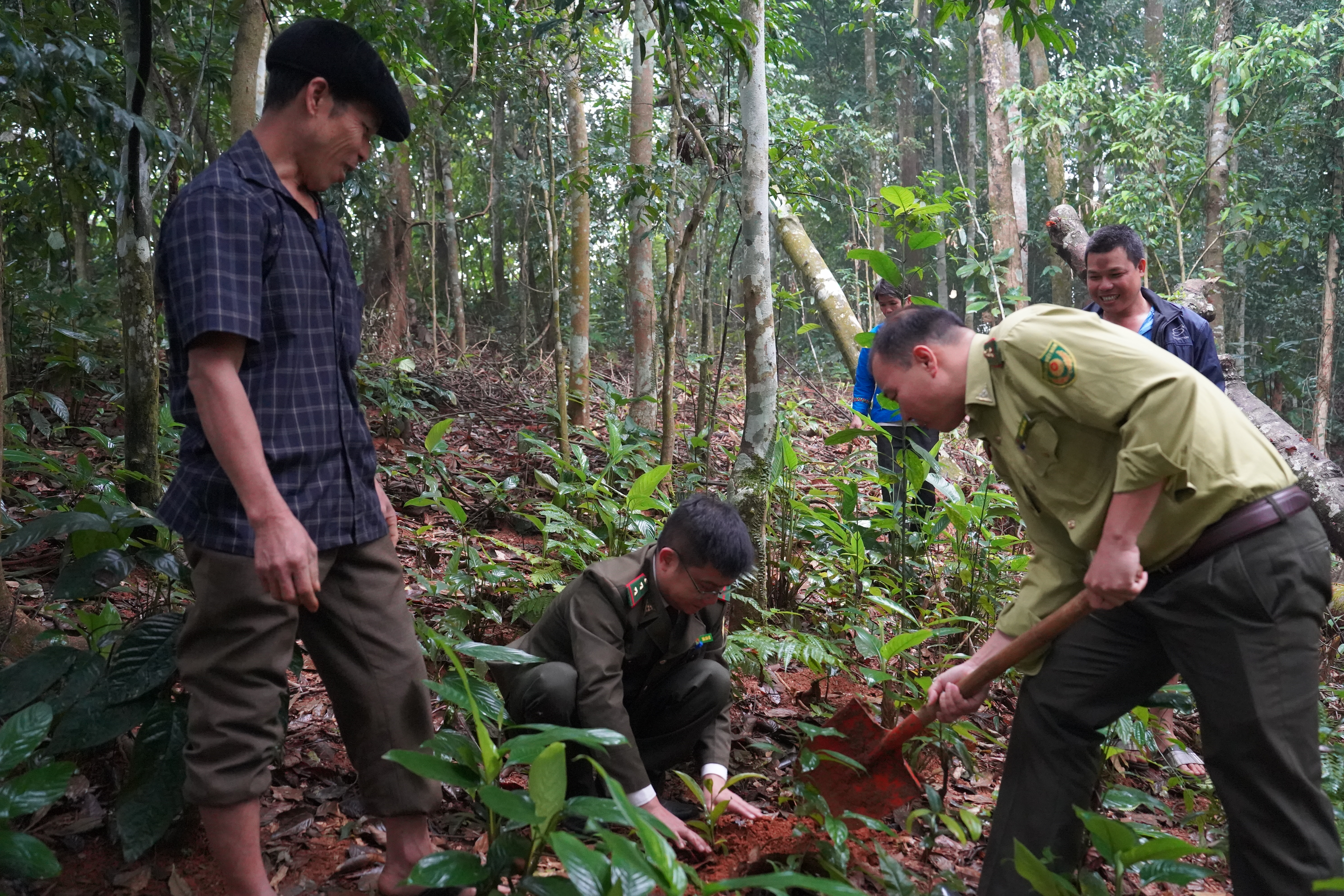 C&uacute;ng rừng 5.JPG