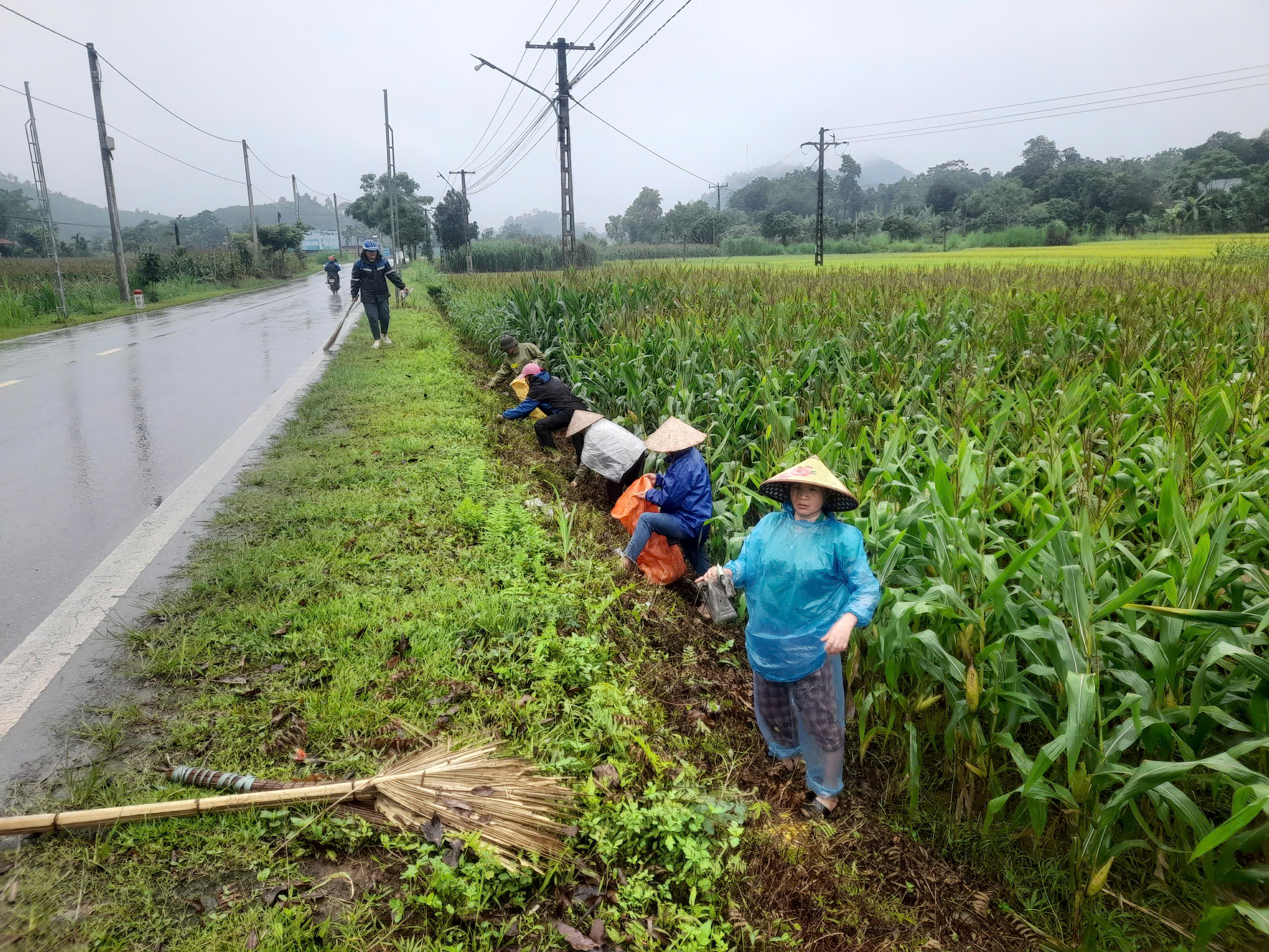 Ph&aacute;t động 6.jpg