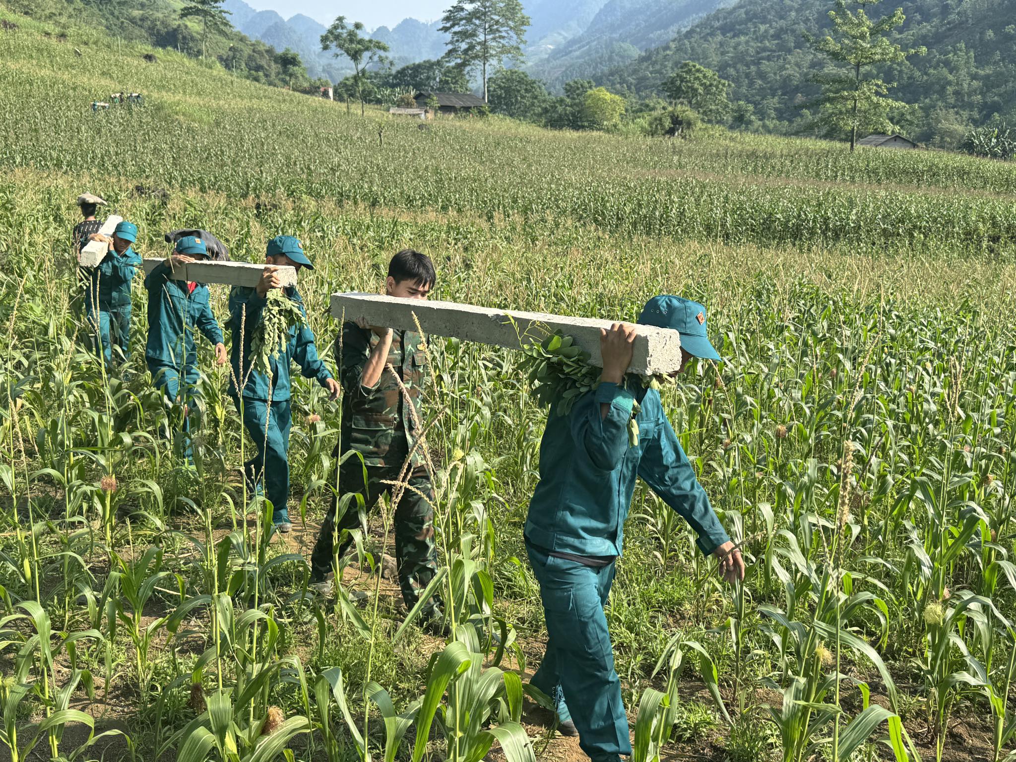 Ban Chỉ huy Quân sự xã hỗ trợ bà con thôn Khâu Mèng vận chuyển trụ cột thanh long