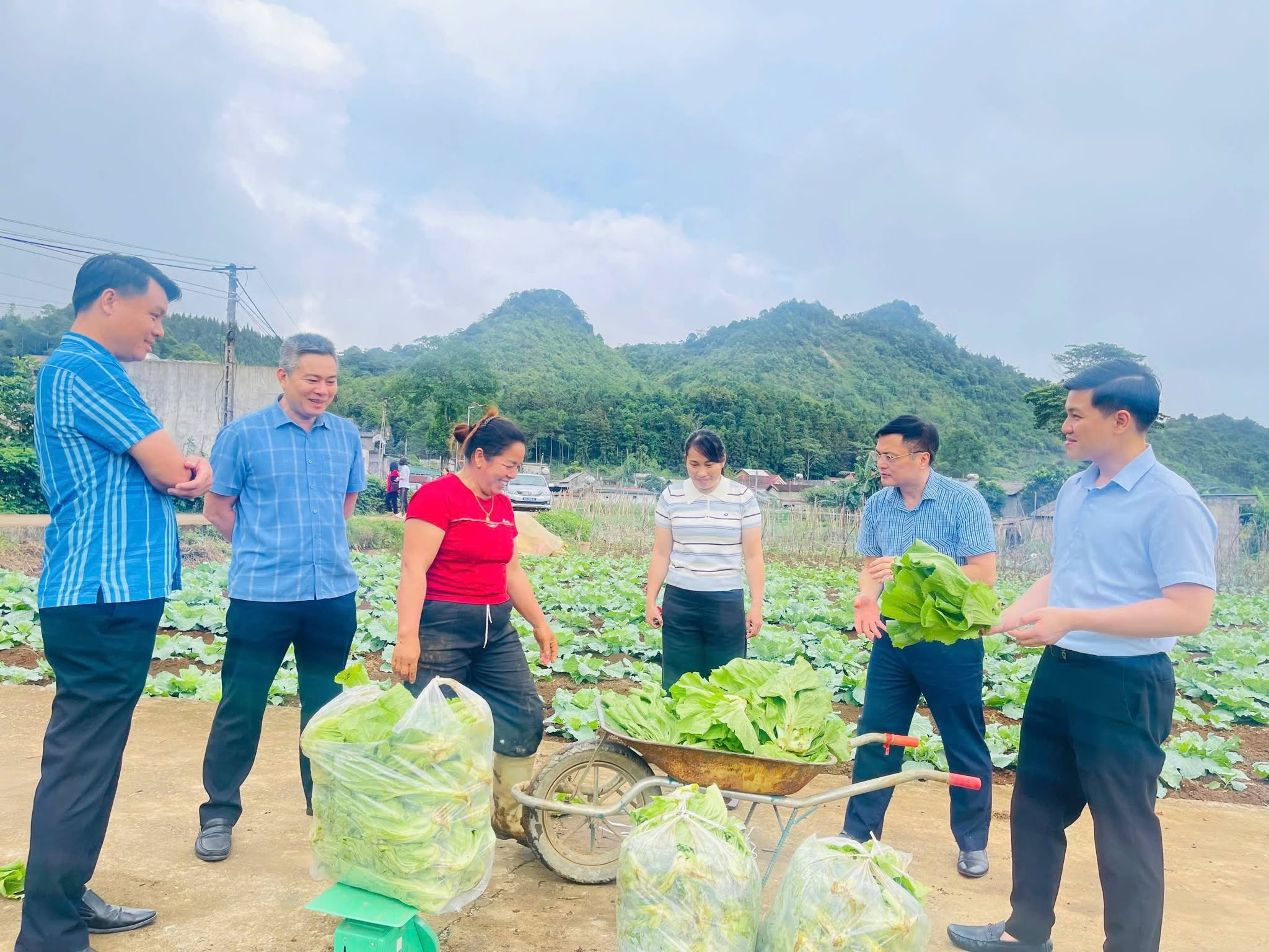 Đoàn công tác của Đại học Phenikaa Hà Nội cùng lãnh đạo UBND xã Quản Bạ đã trực tiếp đi thăm quan một số mô hình phát triển kinh tế tiêu biểu trên địa bàn xã. 
