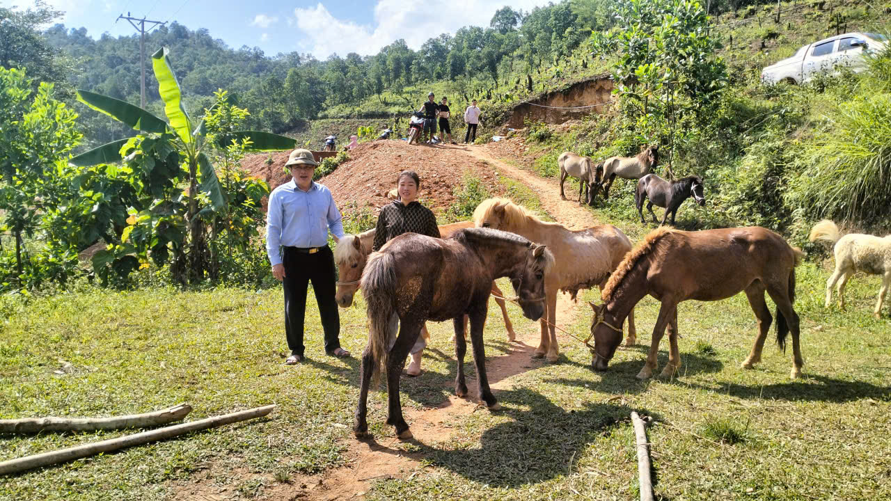 Xã Ngọc Long nghiệm thu dự án chăn nuôi ngựa sinh sản hỗ trợ giảm nghèo