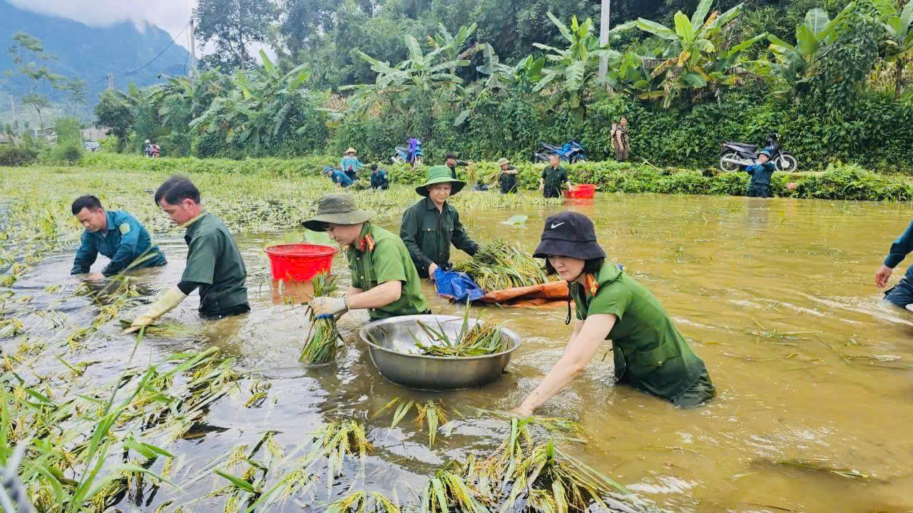 Phía sau những bước chân giữ bình yên