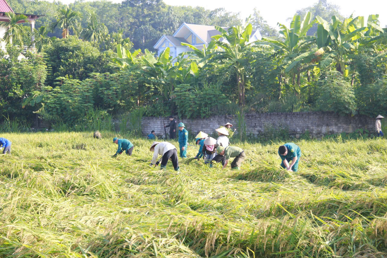 LỰC LƯỢNG VŨ TRANG, CÔNG AN VÀ ĐOÀN VIÊN THANH NIÊN XÃ HÙNG ĐỨC CHUNG TAY HỖ TRỢ NHÂN DÂN KHẮC PHỤC HẬU QUẢ BÃO SỐ 10