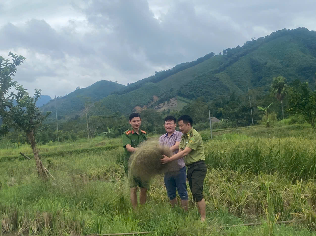 NGĂN CHẶN TRIỆT ĐỂ NẠN BẪY CHIM TRỜI