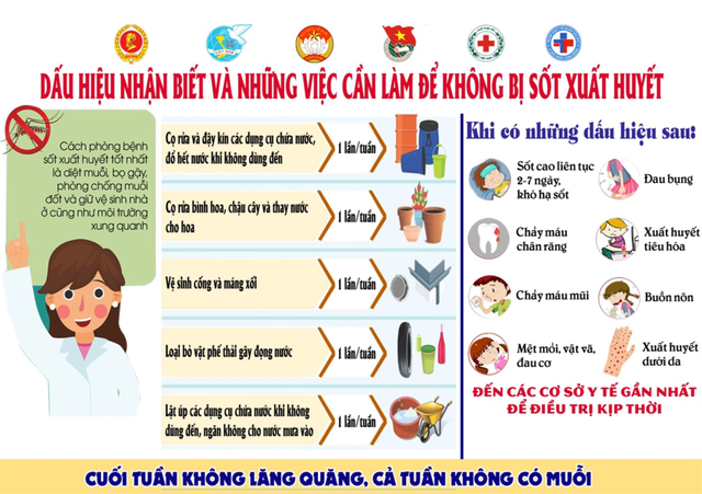 Bài tuyên truyền về bệnh sốt xuất huyết dengue