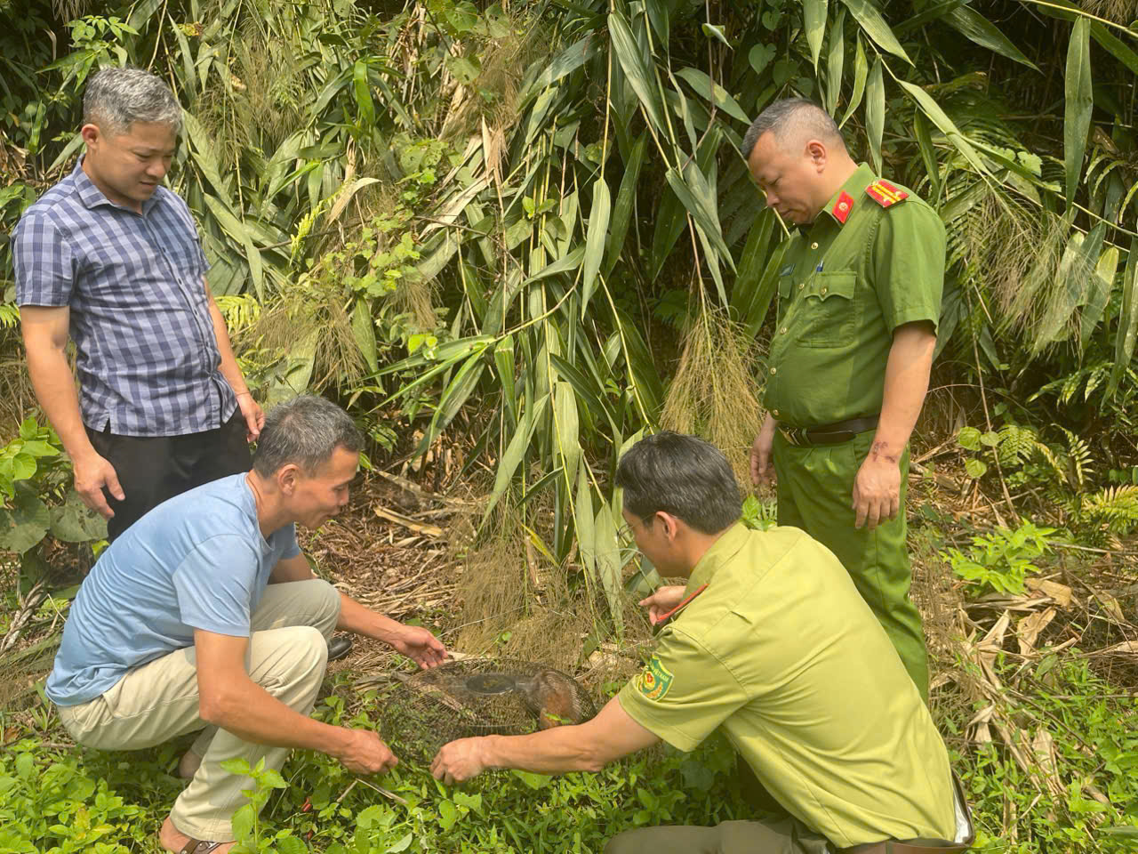 CÔNG AN XÃ PHÚ LINH PHỐI HỢP BẢO VỆ ĐỘNG VẬT NGUY CẤP, QUÝ HIẾM 