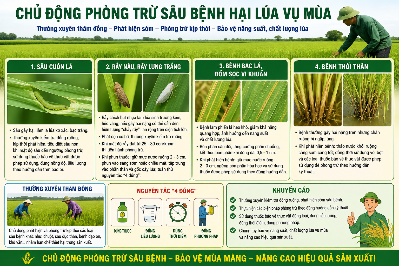 CHỦ ĐỘNG PHÒNG TRỪ SÂU BỆNH HẠI LÚA VỤ MÙA