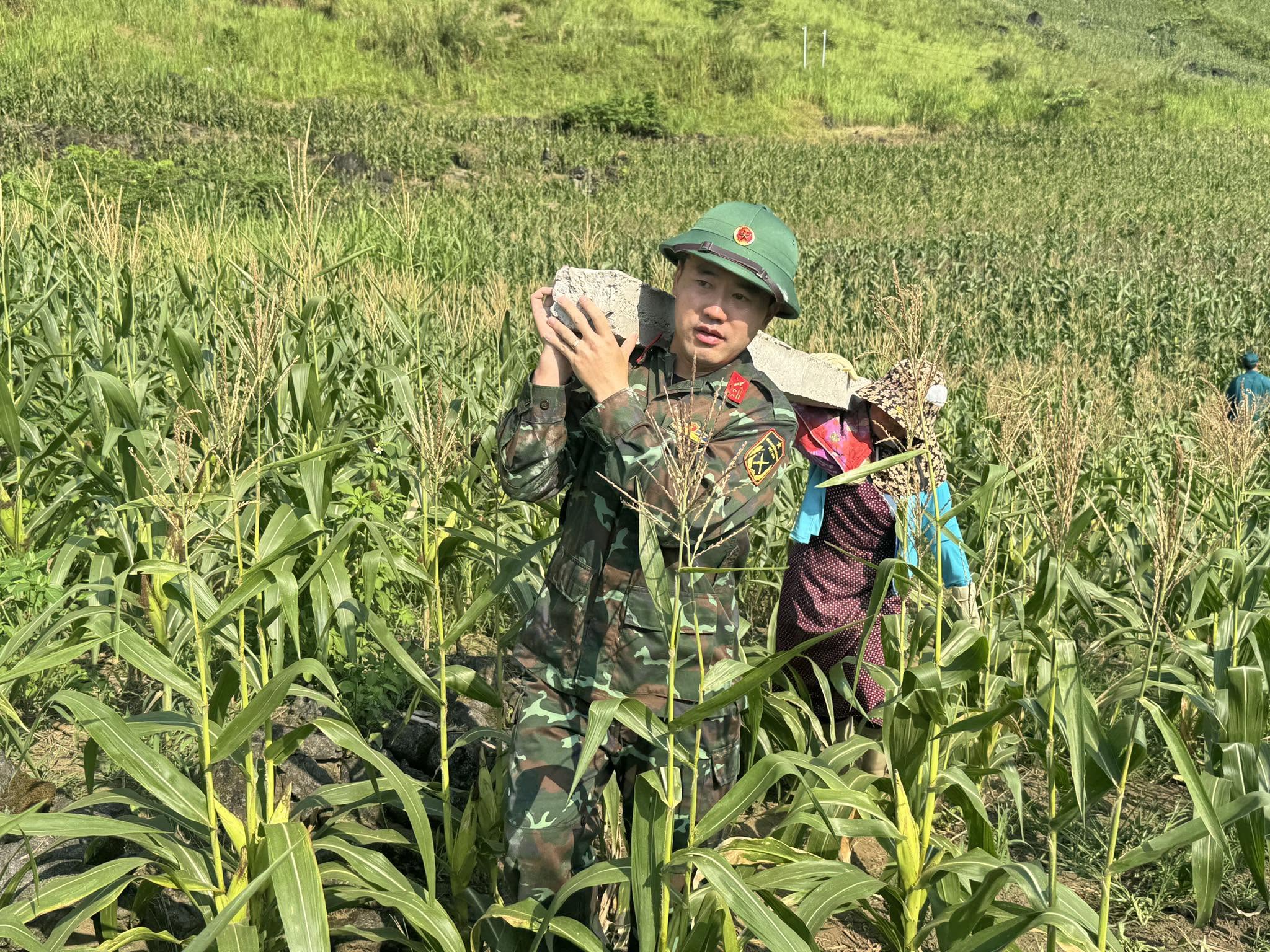 chuyển đổi 4.jpg