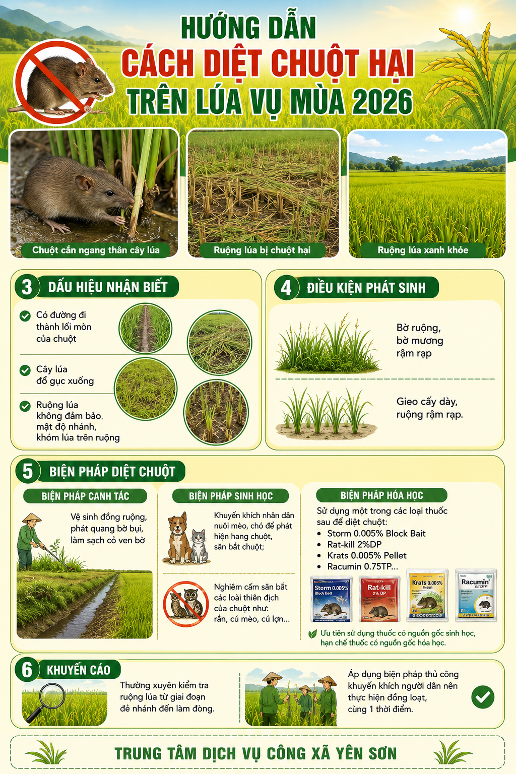 info diệt chuột .png