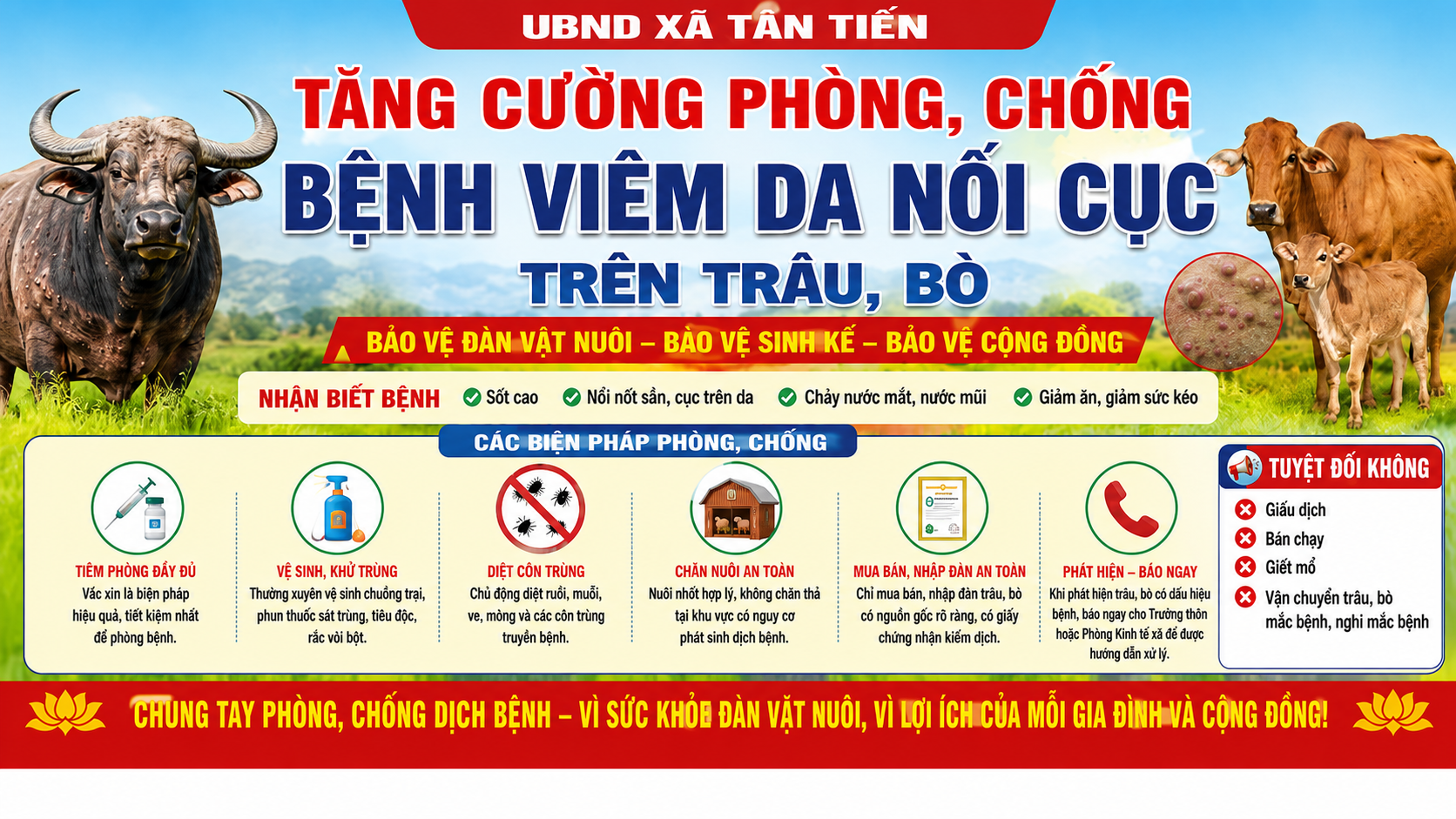 XÃ TÂN TIẾN TĂNG CƯỜNG PHÒNG, CHỐNG BỆNH VIÊM DA NỔI CỤC TRÊN TRÂU, BÒ