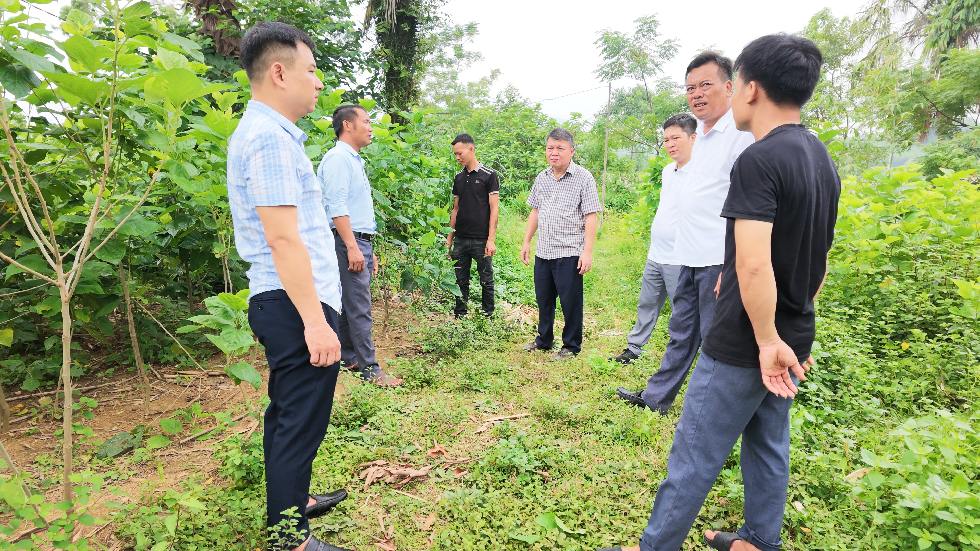 Tằm 2.JPG