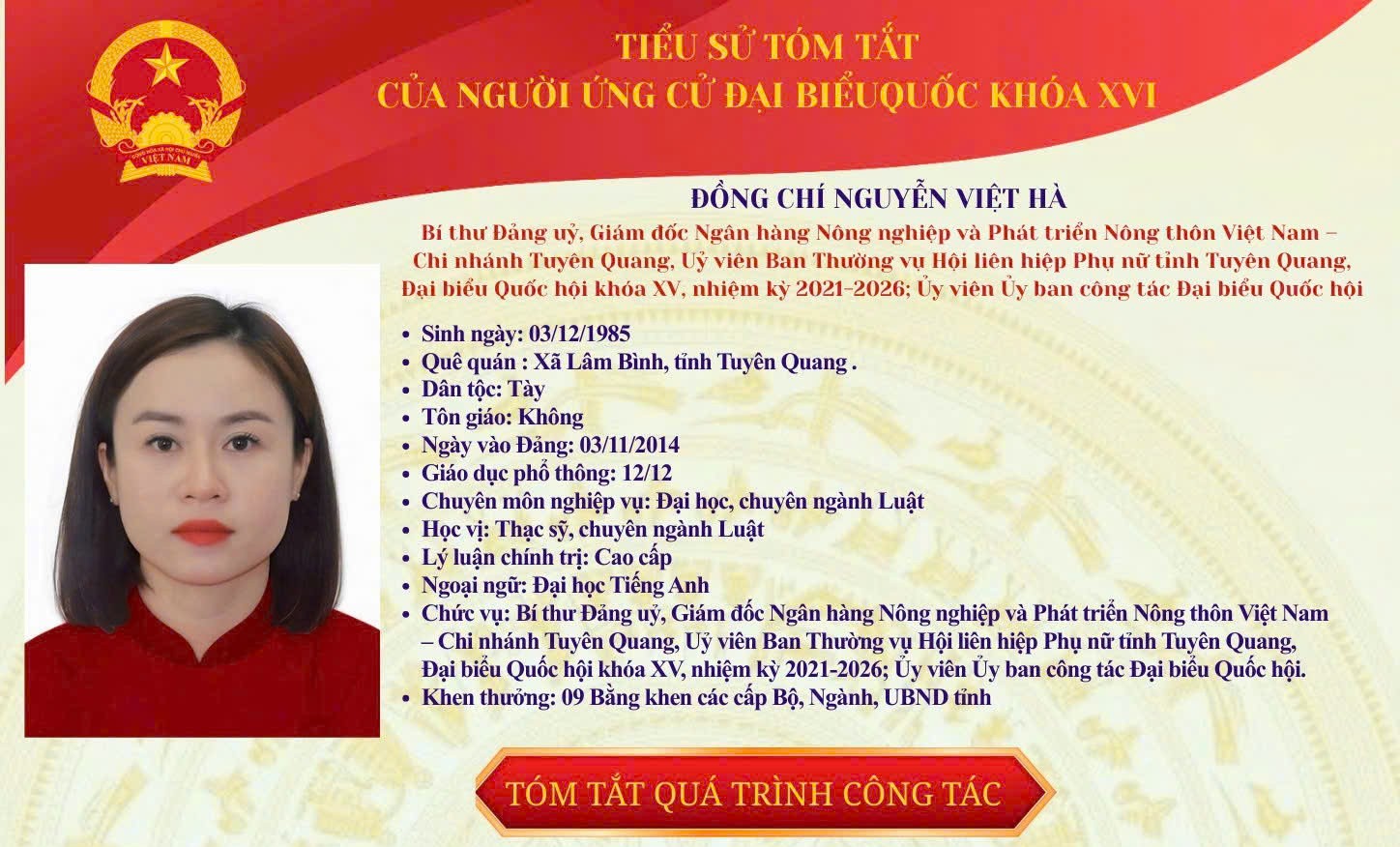 Tiểu sử tóm tắt đồng chí Nguyễn Việt Hà – Ứng cử Đại biểu Quốc hội khoá XVI