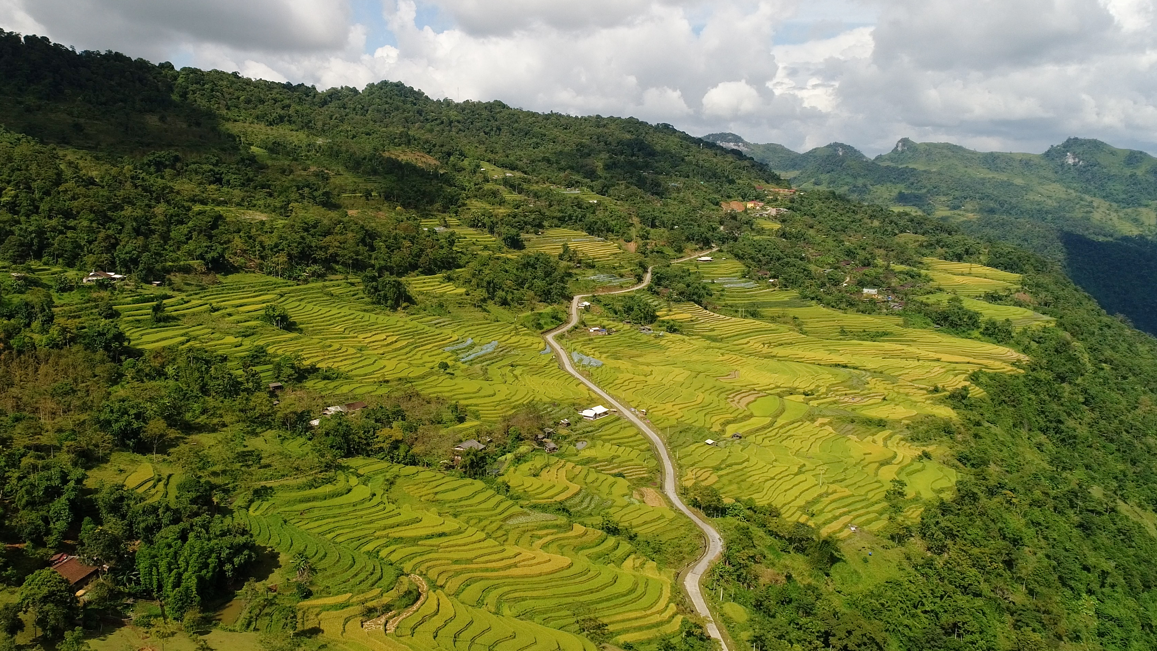 Hồng Thái – Vẻ đẹp mùa vàng trên miền non cao