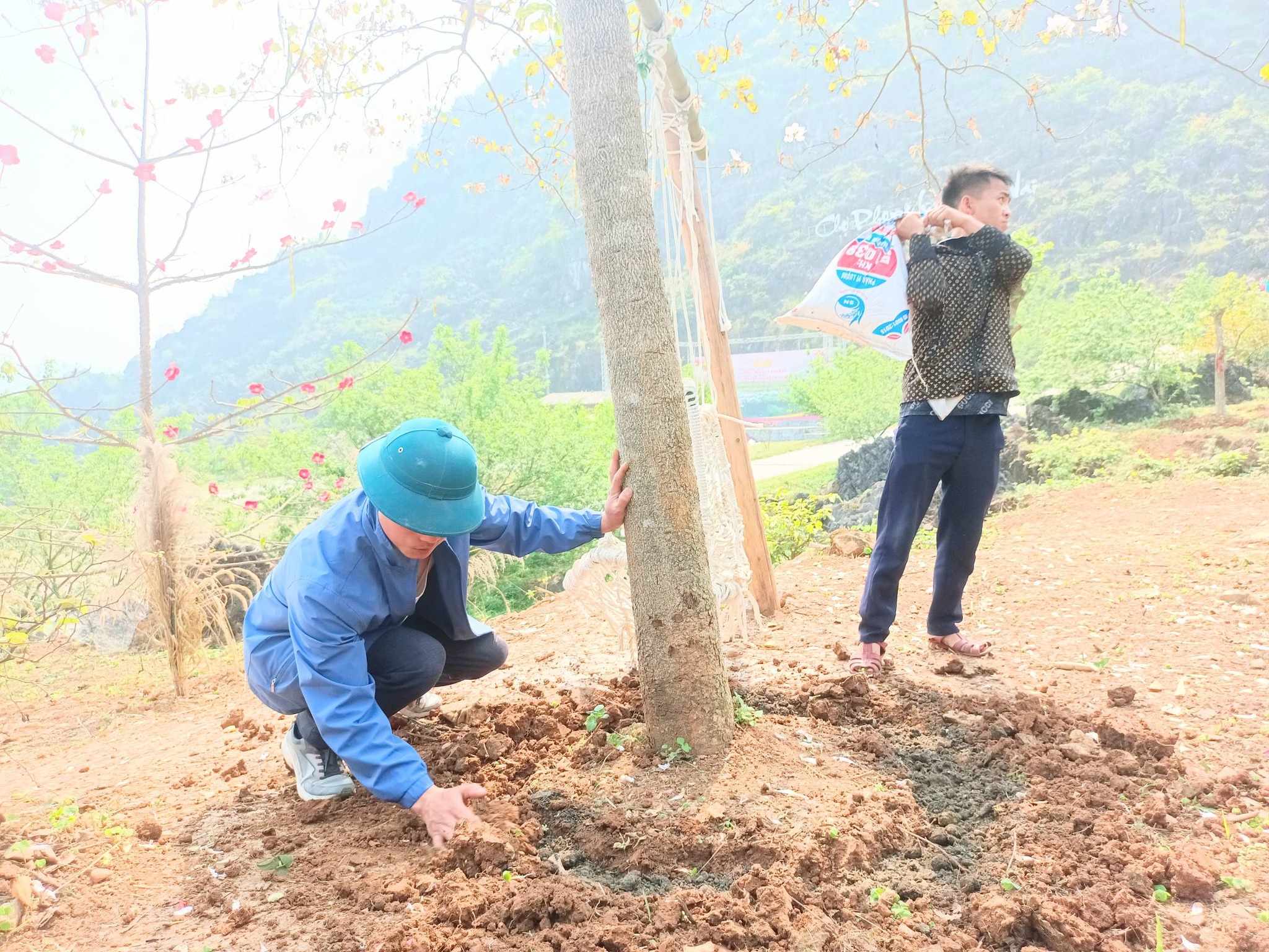 Ủy ban MTTQ phát động thi đua chăm sóc cây hoa và tổng vệ sinh tại khu vực Mê cung đá