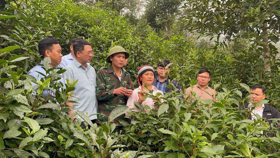 LÃNH ĐẠO XÃ KIỂM TRA CÔNG TÁC PHÁT TRIỂN KINH TẾ - XÃ HỘI TẠI THÔN PHÌN SẢNG 