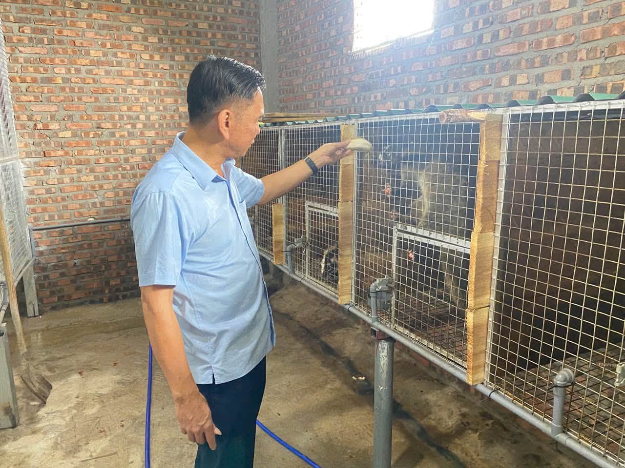 ĐỒNG CHÍ ĐÀO XUÂN HÒA - CHỦ TỊCH UBND XÃ TRUNG THỊNH THĂM MÔ HÌNH NUÔI CẦY HƯƠNG PHÁT TRIỂN KINH TẾ TẠI THÔN CỐC RẾ