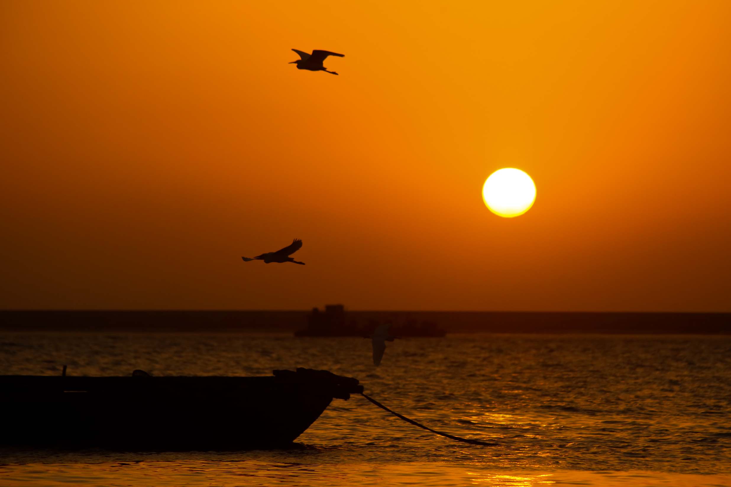 Hoàng hôn chạm biển ở Đặc khu Cát Hải