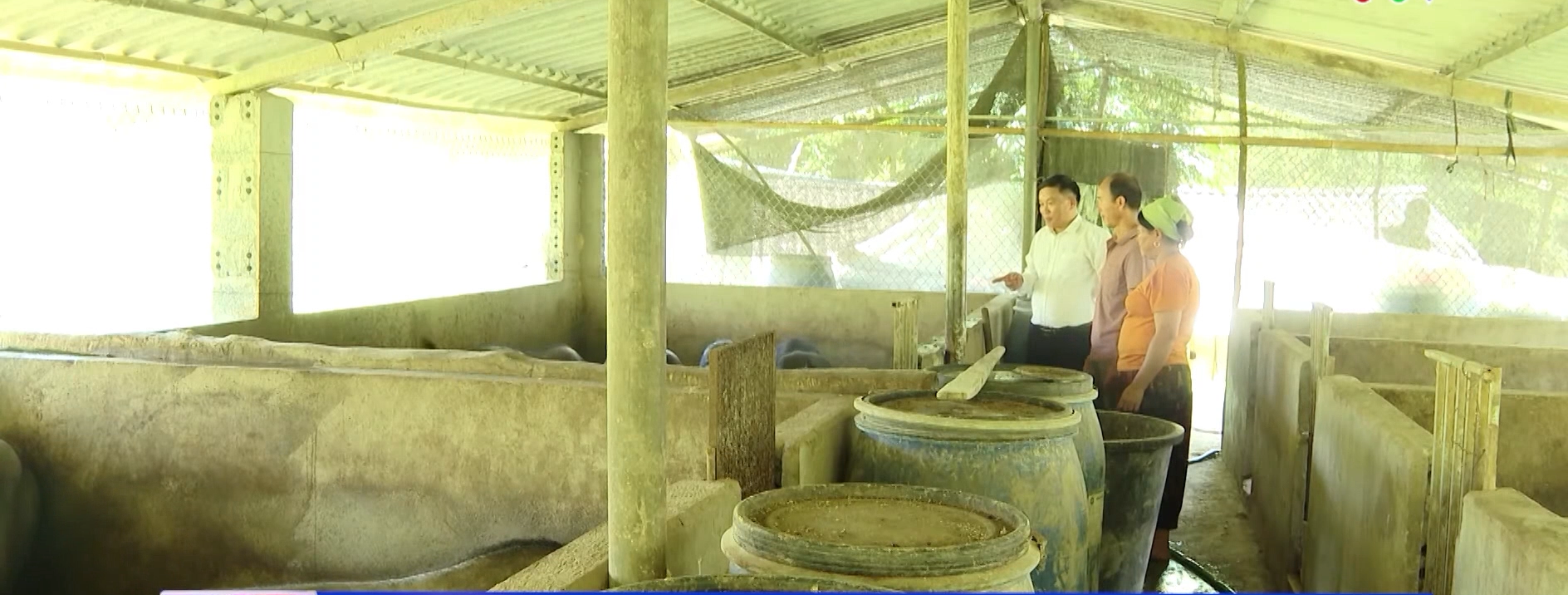 Bạch Ngọc khơi dậy tiềm năng từ những mô hình kinh tế phù hợp