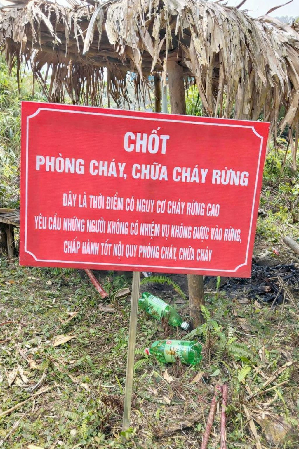 chốt  chốt.png