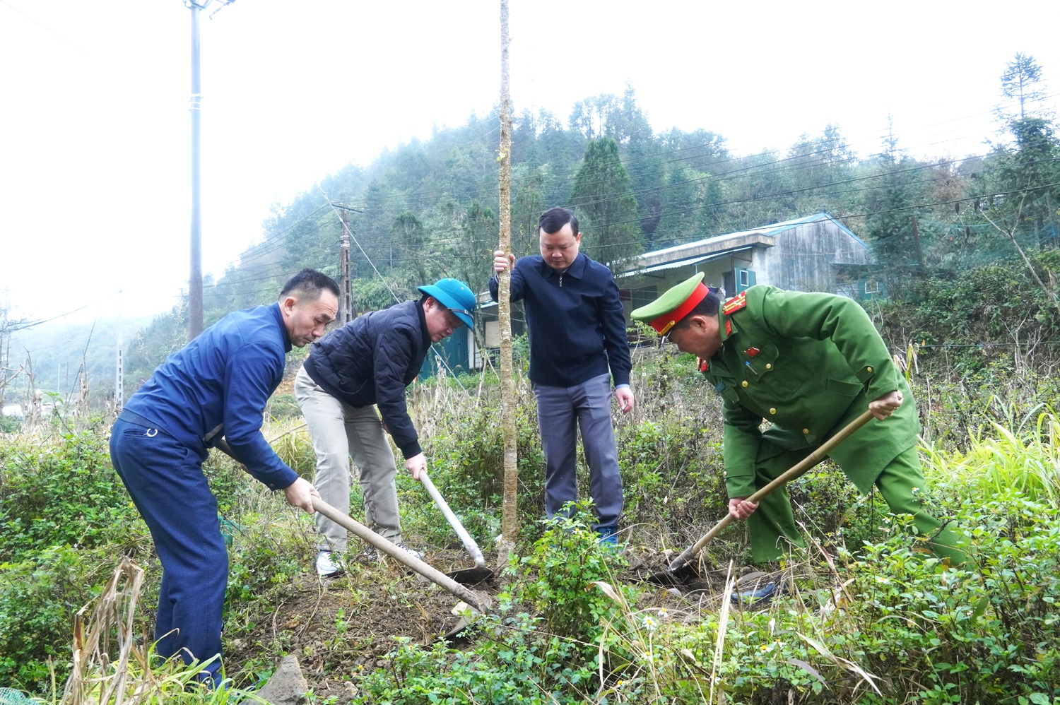 Xã Sơn Vĩ: Trồng hoa mai anh đào tạo cảnh quan