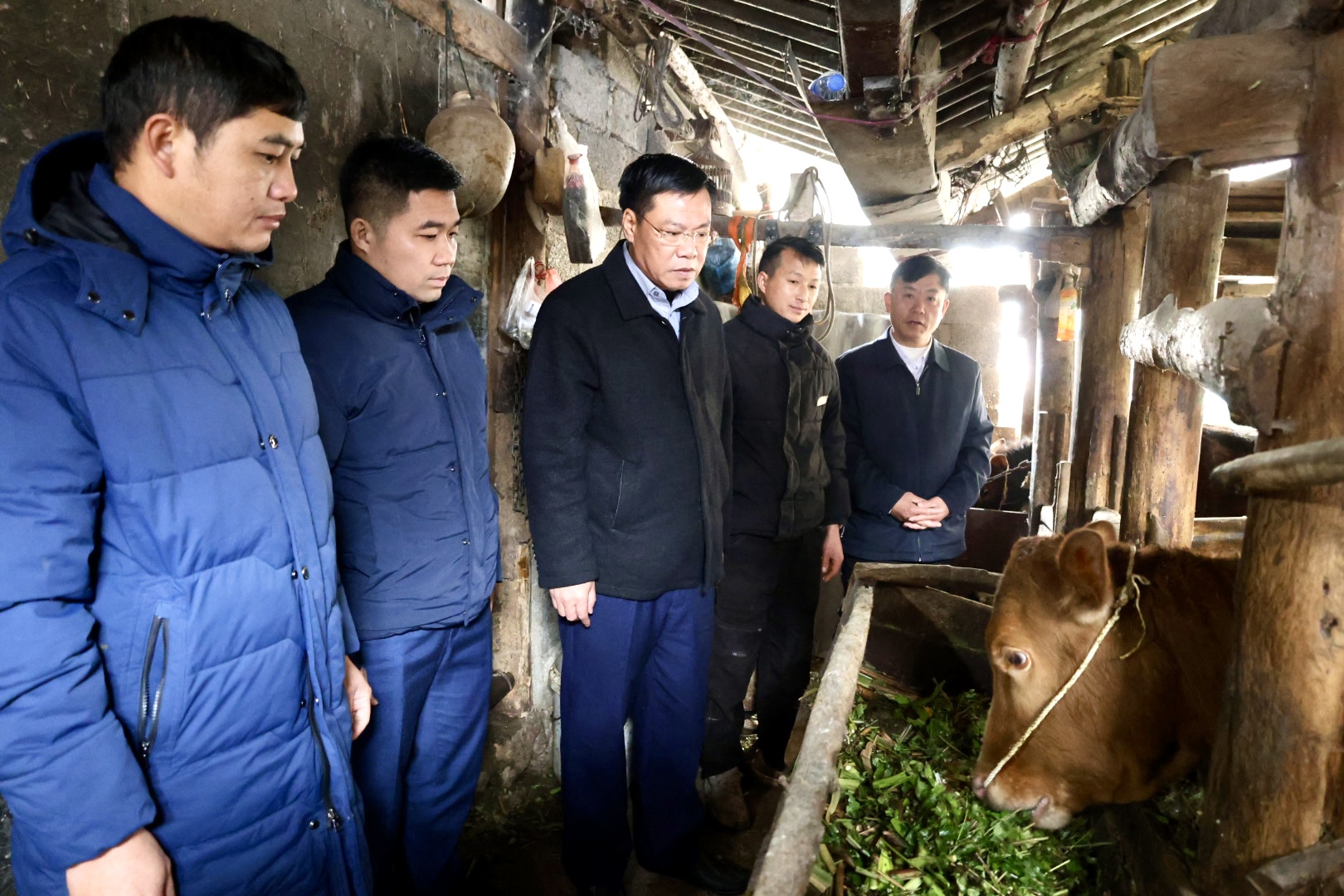 Lãnh đạo xã Đồng Văn kiểm tra công tác phòng chống rét cho gia súc