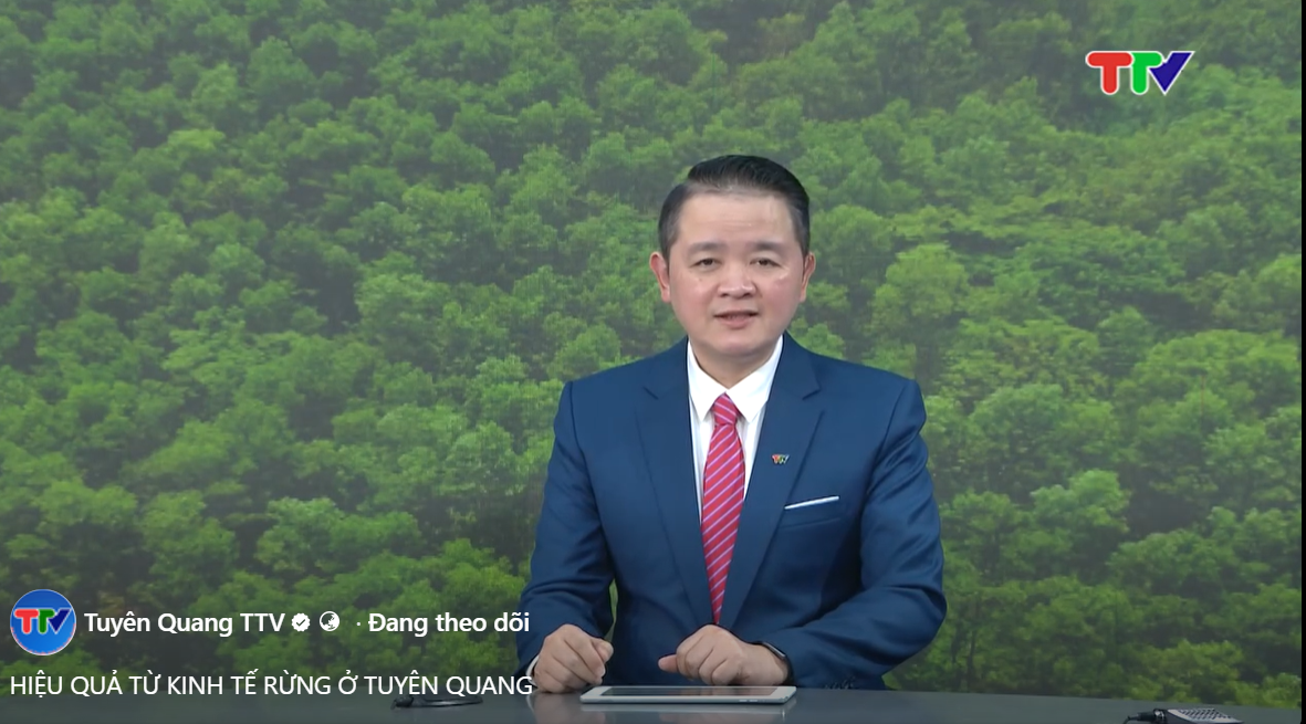 Hiệu quả từ kinh tế rừng ở Tuyên Quang