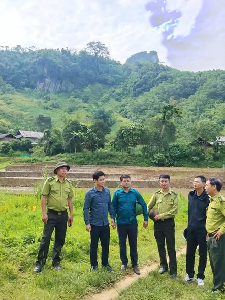 XÃ TRUNG HÀ TRIỂN KHAI RÀ SOÁT, PHÂN ĐỊNH 3 LOẠI RỪNG