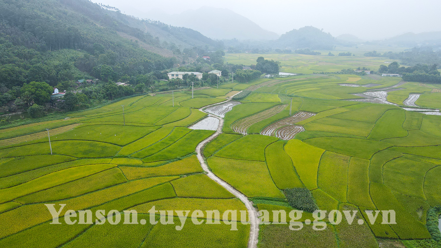 DJI_0593.jpg