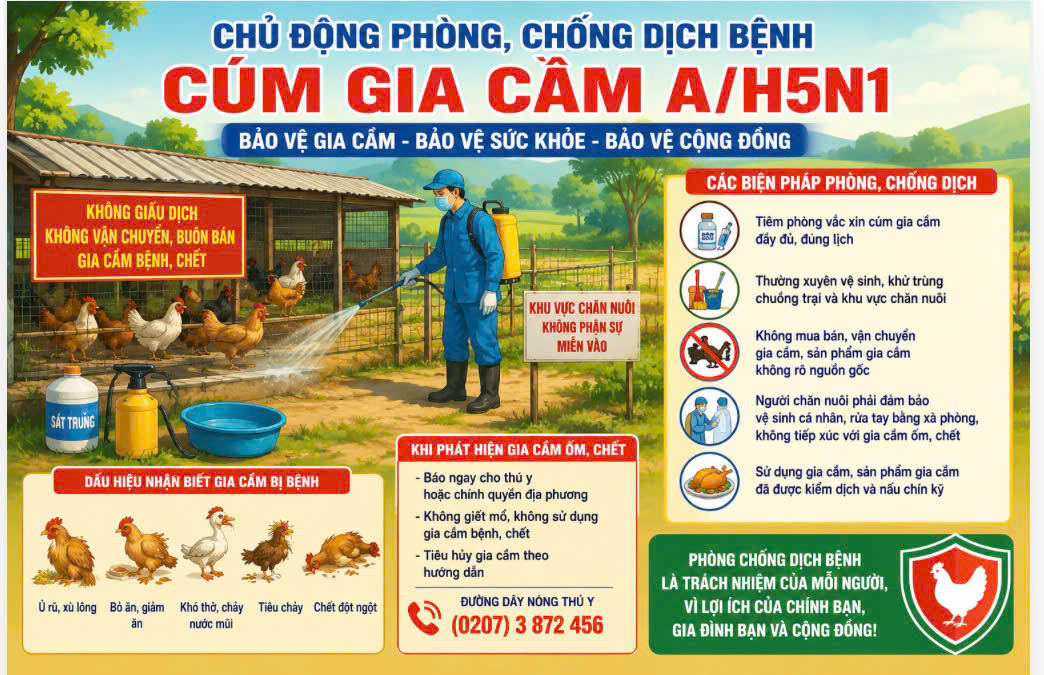 TÂN TRỊNH CHỦ ĐỘNG TRIỂN KHAI QUYẾT LIỆT CÁC BIỆN PHÁP PHÒNG, CHỐNG DỊCH CÚM GIA CẦM A/H5N1
