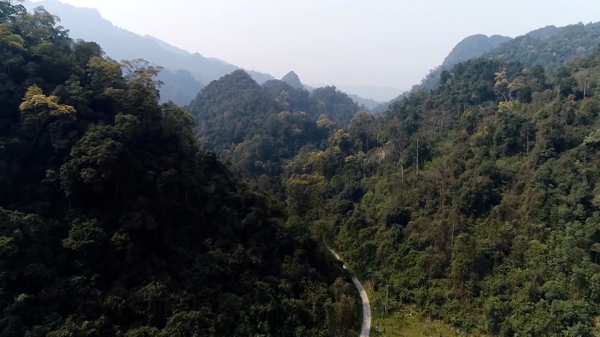 Chủ động phòng cháy, chữa cháy rừng và bảo vệ rừng trên địa bàn xã Minh Quang