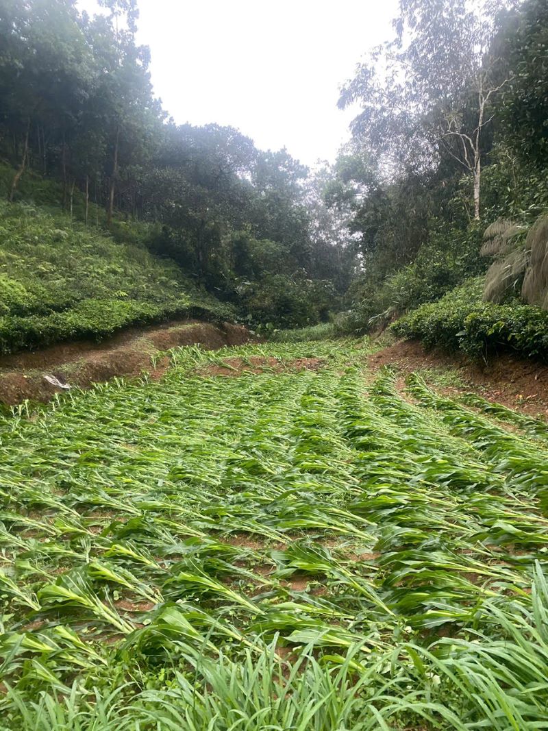 XÃ HÙNG AN KHẨN CHƯƠNG KHẮC PHỤC HẬU QUẢ THIÊN TAI DO MƯA LỚN, GIÓ LỐC 