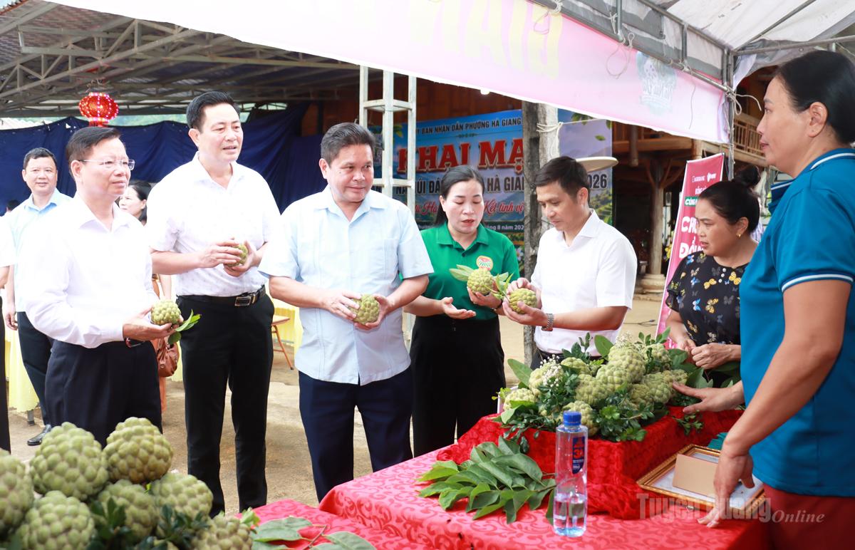 Khai mạc Tuần lễ Na Núi đá phường Hà Giang 2