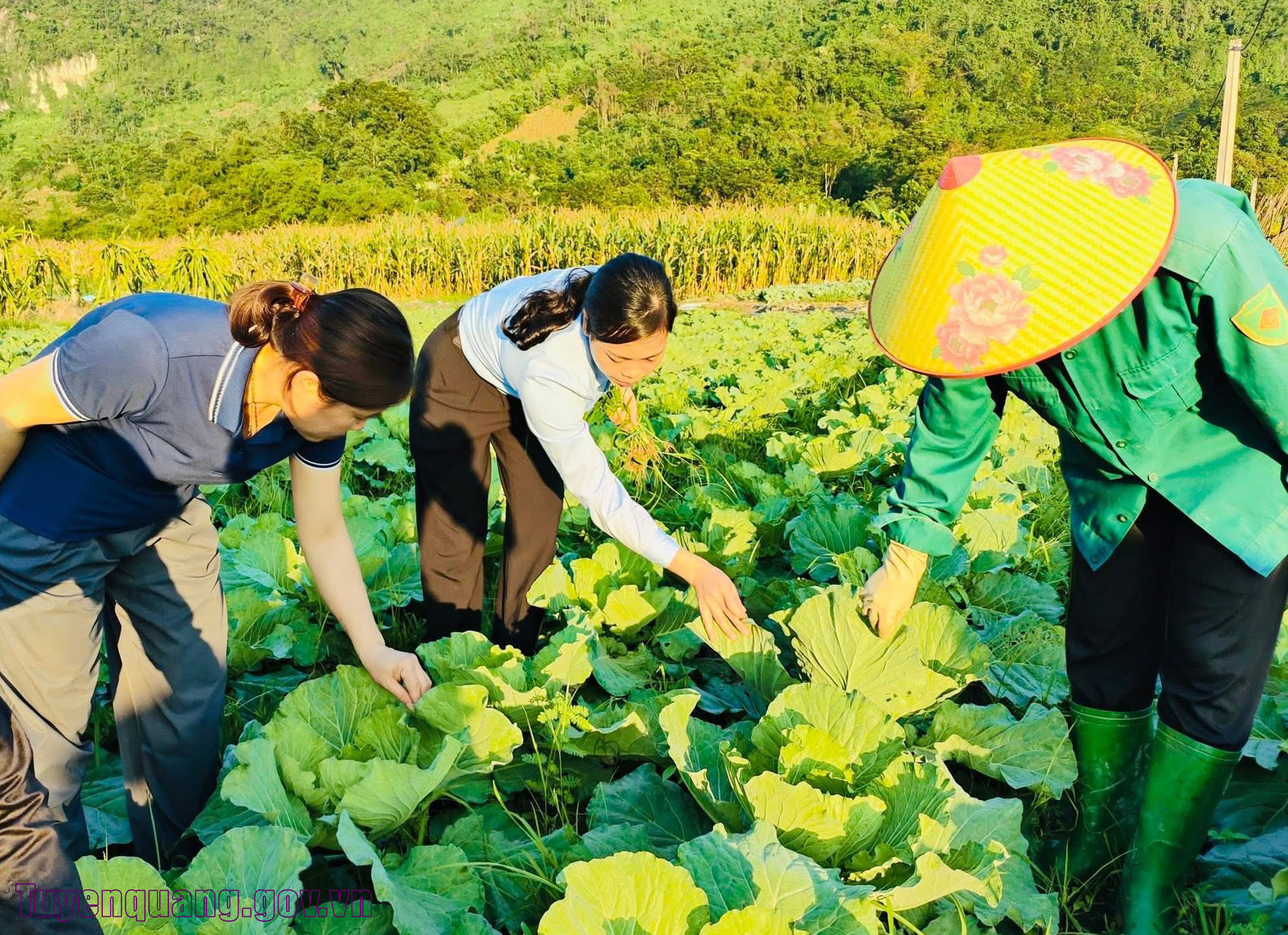 Đảm bảo nguồn cung hàng hóa dịp Tết