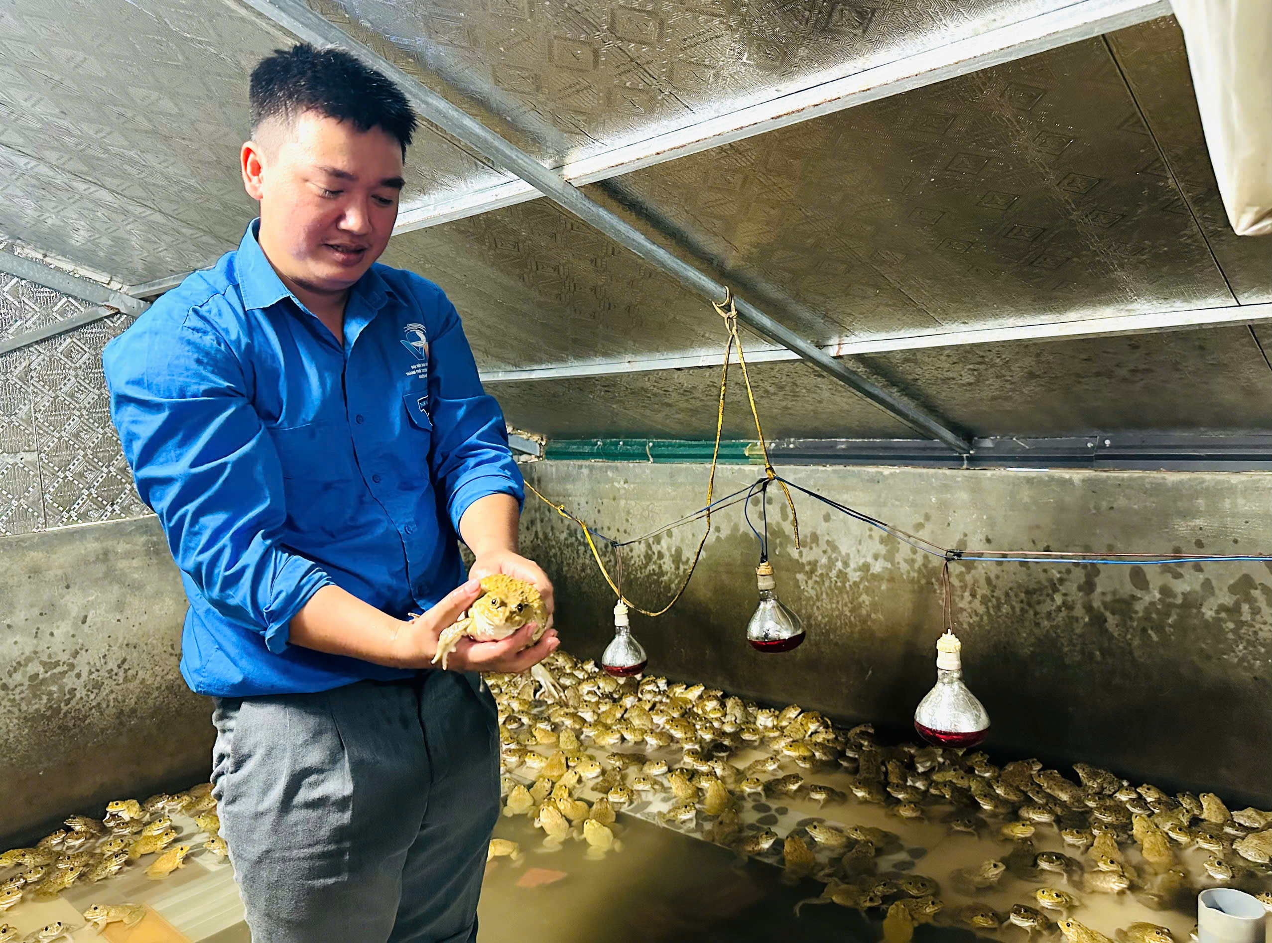 Bí thư chi đoàn khởi nghiệp thành công nhờ nuôi ếch