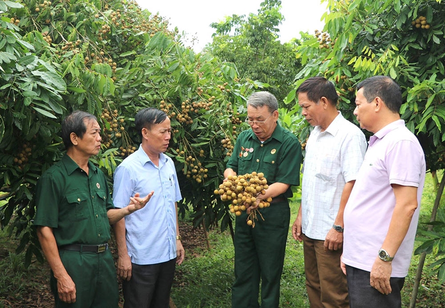 Phát huy vai trò đảng viên cao tuổi ở cơ sở