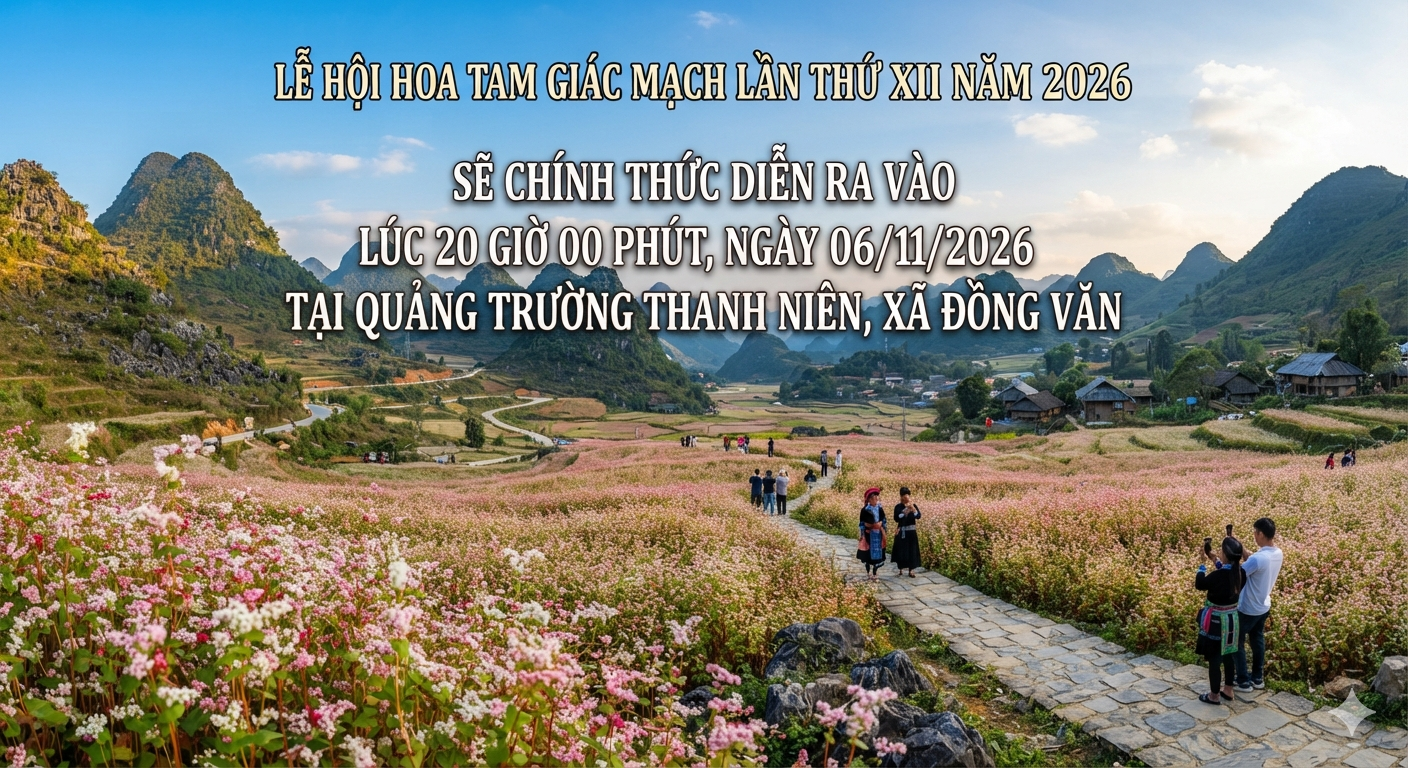 Sắp diễn ra Lễ hội Hoa Tam giác mạch lần thứ XII năm 2026 với chủ đề “Âm vang miền đá”