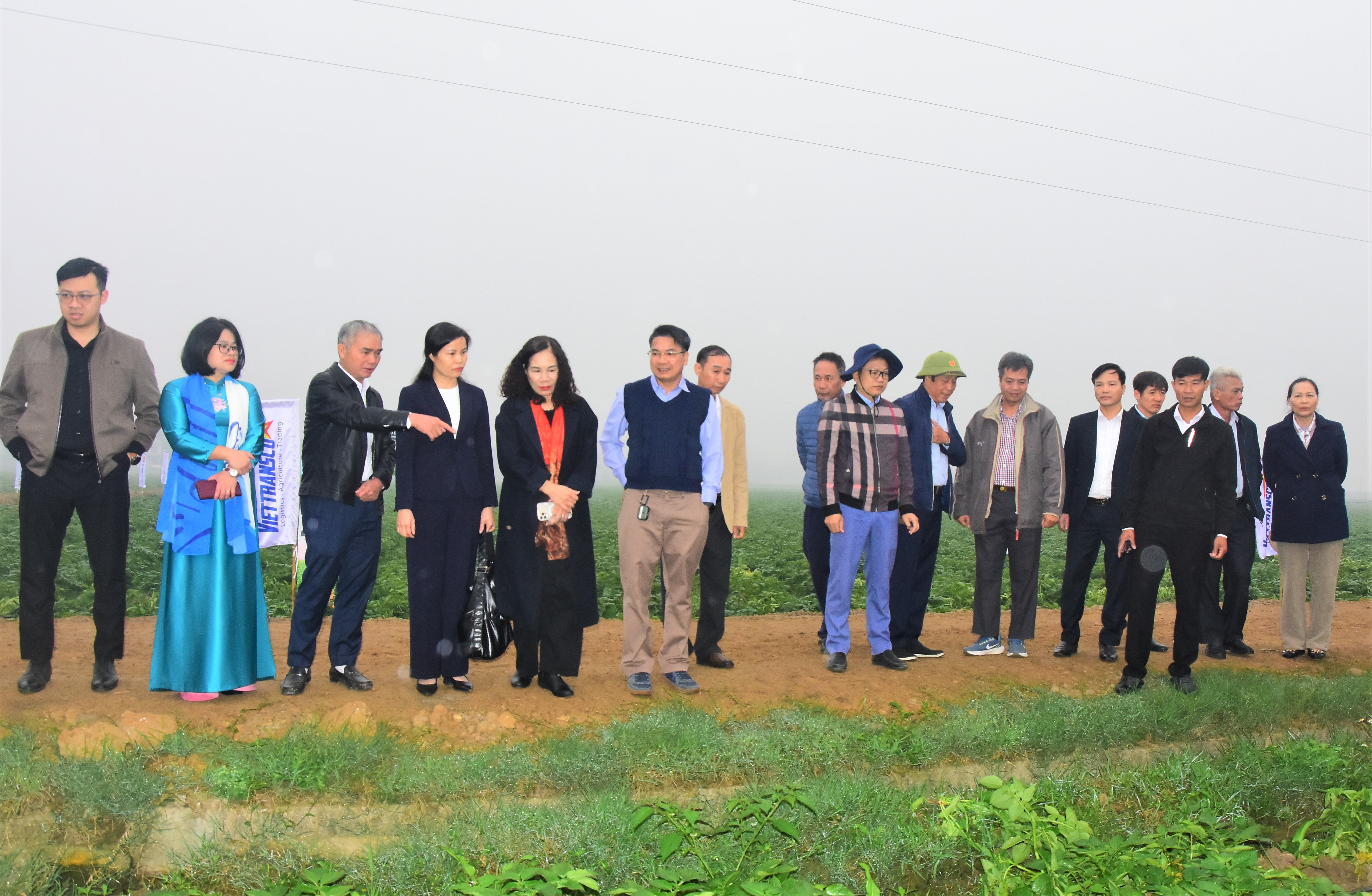 Đánh giá hiệu quả mô hình liên kết sản xuất khoai tây FL2215 tại phường An Tường