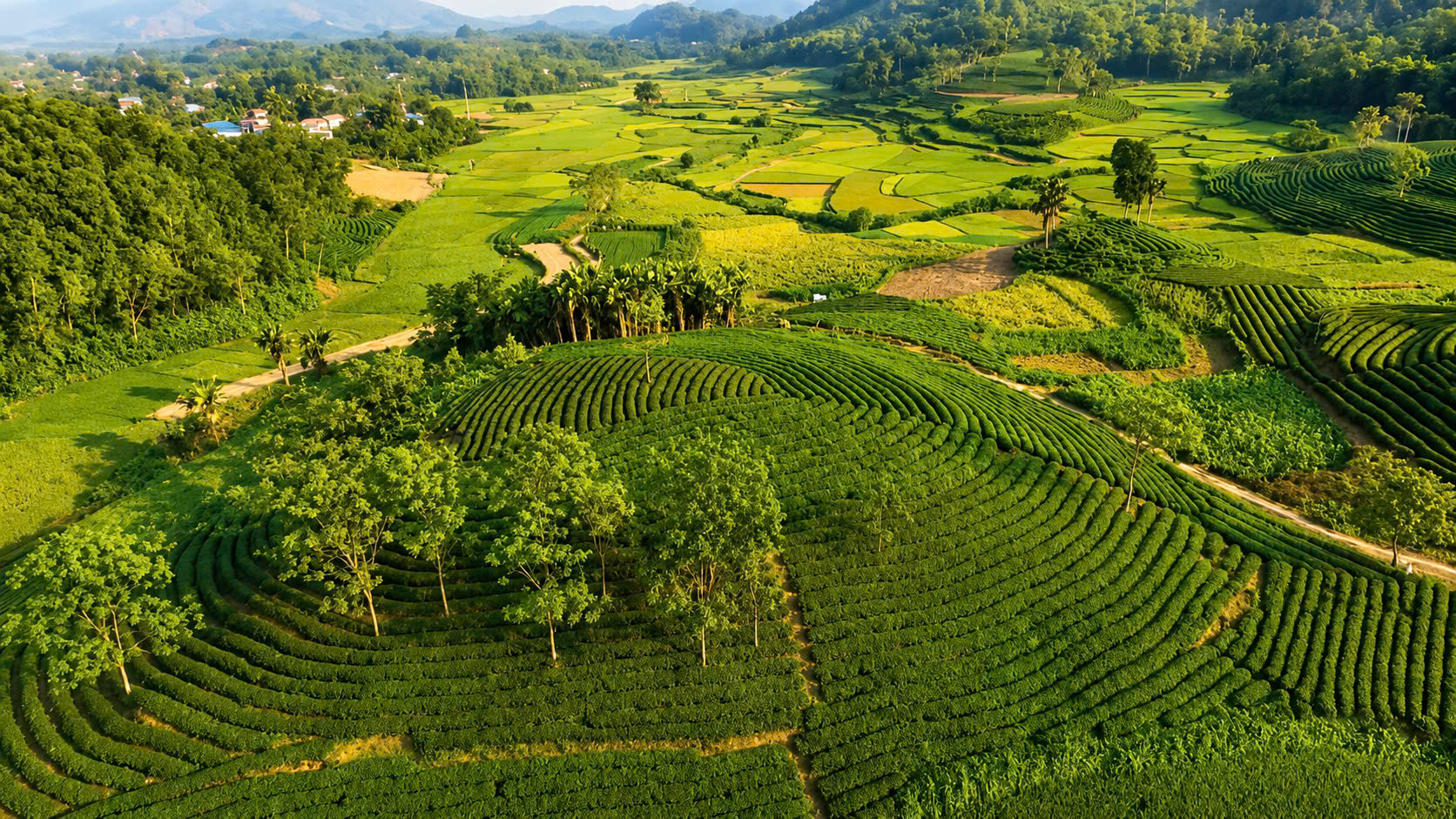 LÀNG VĂN HÓA TRẠI XOAN TRONG KHÔNG GIAN KINH TẾ MỚI CỦA NHỮ KHÊ: TỪ BẢO TỒN VĂN HÓA ĐẾN TẠO SINH KẾ CHO CỘNG ĐỒNG
