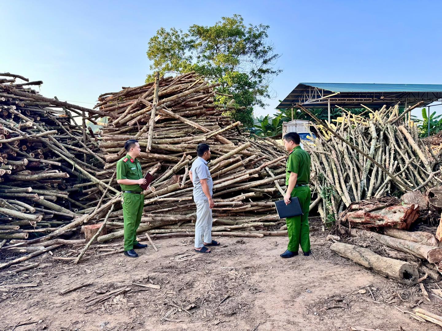 TĂNG CƯỜNG KIỂM TRA, XỬ LÝ VI PHẠM TRONG LĨNH VỰC LÂM NGHIỆP