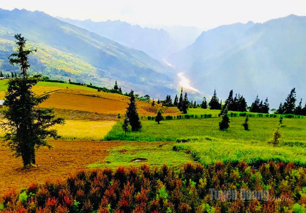 Thảo nguyên Suôi Thầu - Nơi mùa hoa gọi về miền núi đất