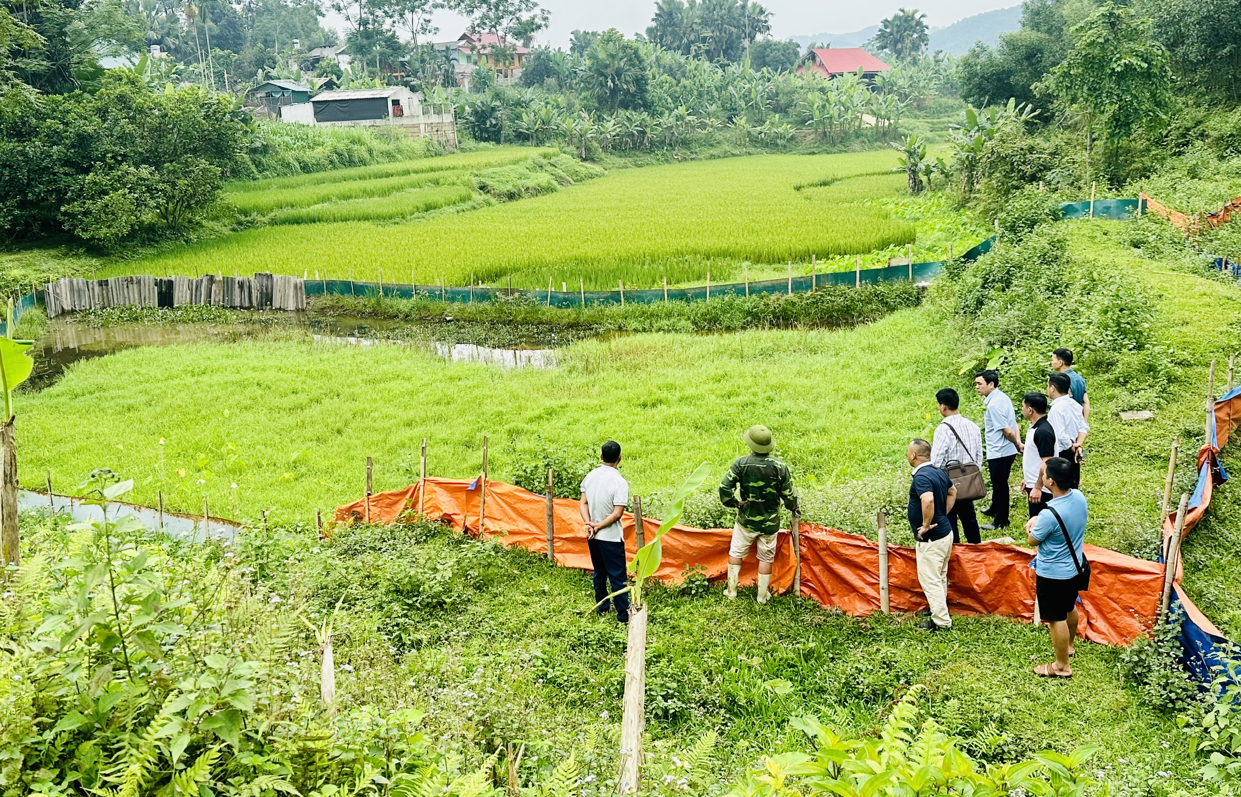 Xã Bạch Ngọc tham quan mô hình phát triển kinh tế tại xã Hàm Yên