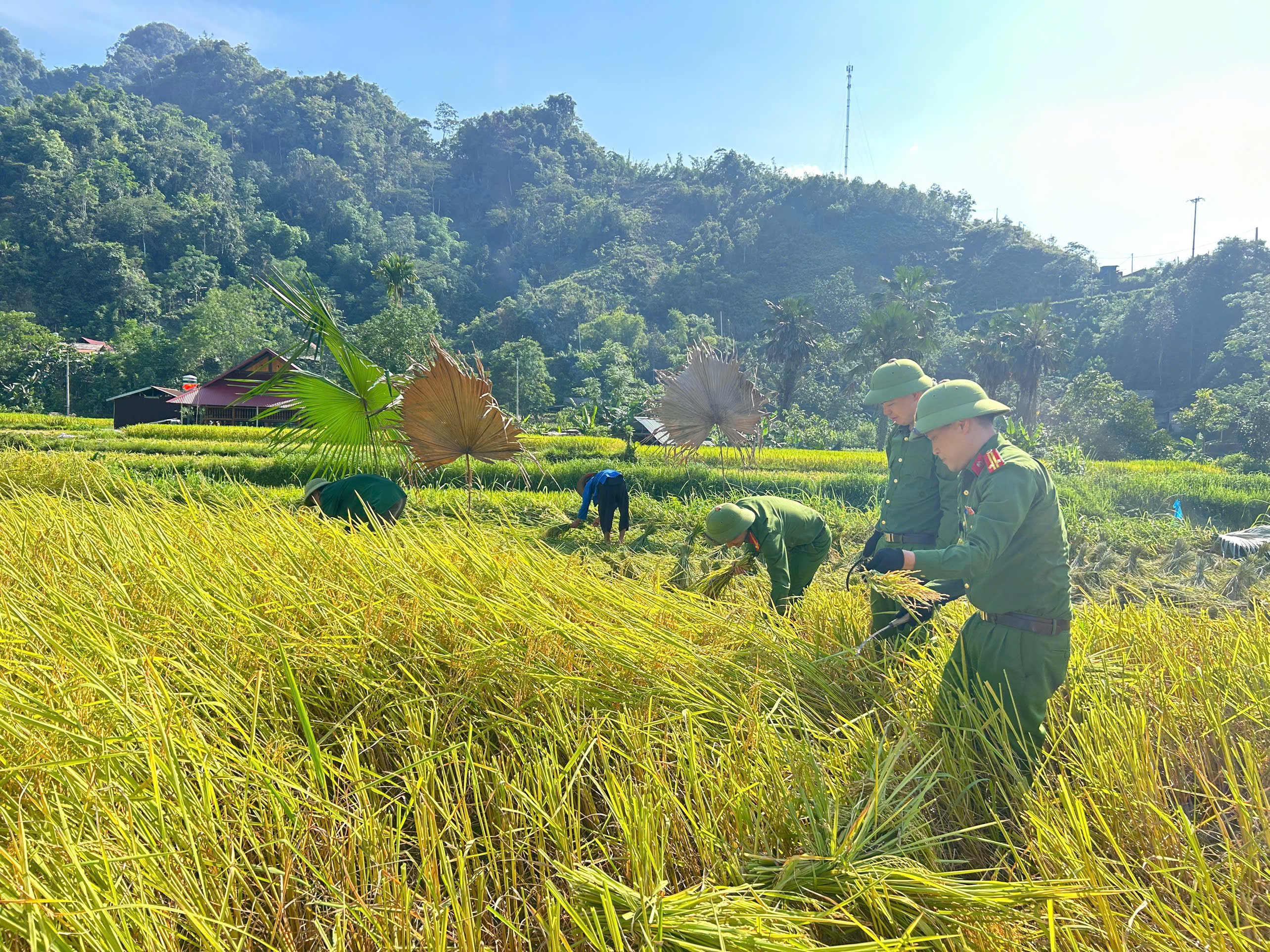 CÔNG AN XÃ LÂM BÌNH ĐẨY MẠNH PHONG TRÀO THI ĐUA “KỶ LUẬT NHẤT - TRUNG THÀNH NHẤT - GẦN DÂN NHẤT”