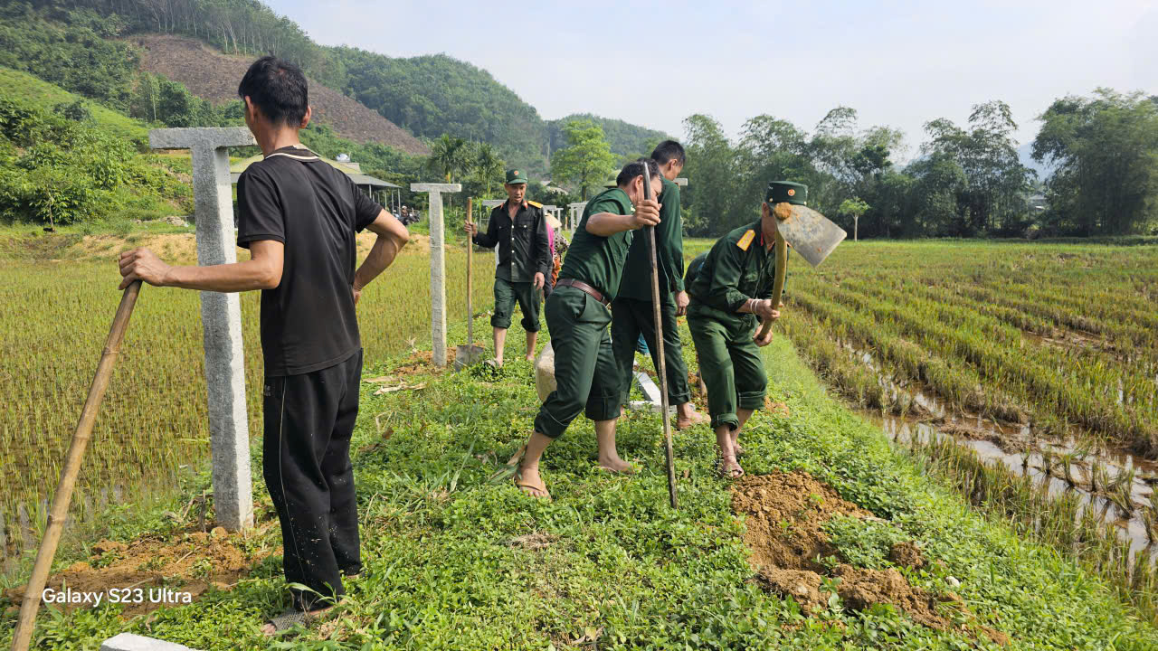 Vườn tạp 4.jpg