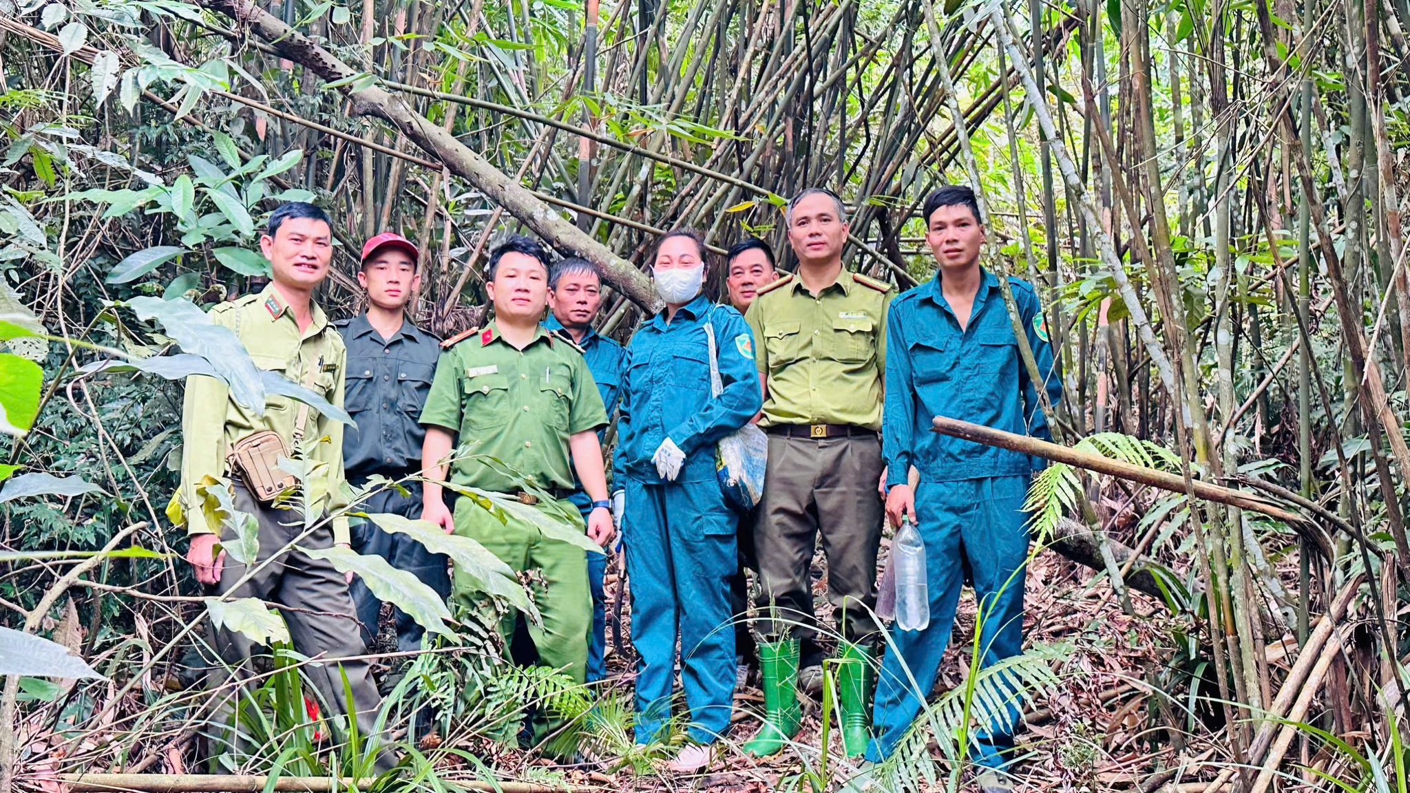 TĂNG CƯỜNG TUẦN TRA, BẢO VỆ RỪNG
