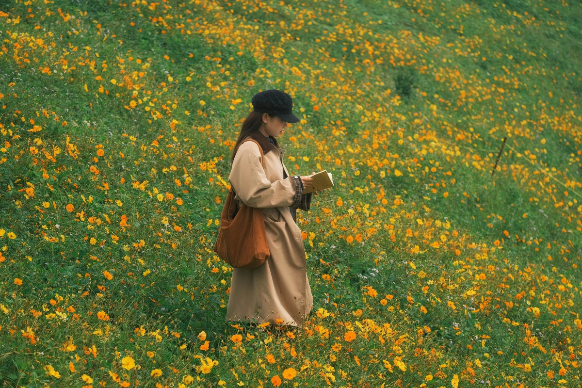 Tà Xùa hút du khách với khung cảnh hoàng hôn giữa đồi cỏ hoa