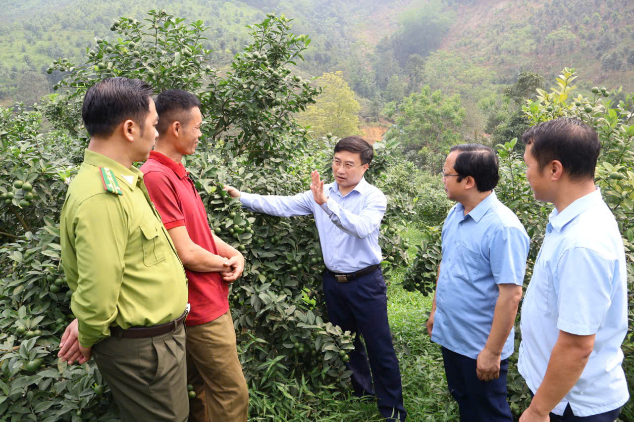 Thăm m&ocirc; h&igrave;nh chanh1.jpg