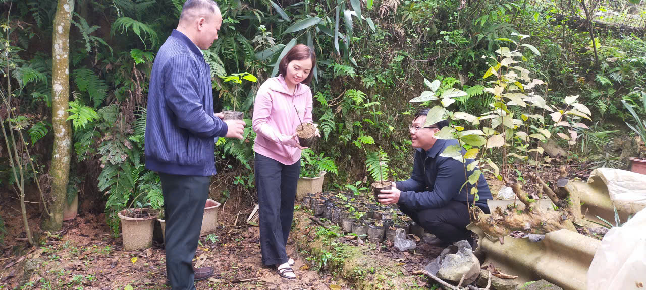 ĐOÀN CÔNG TÁC UBND XÃ MINH TÂN LÀM VIỆC TẠI THÔN PHÌN SẢNG, KIỂM TRA TÌNH HÌNH PHÁT TRIỂN KINH TẾ - XÃ HỘI