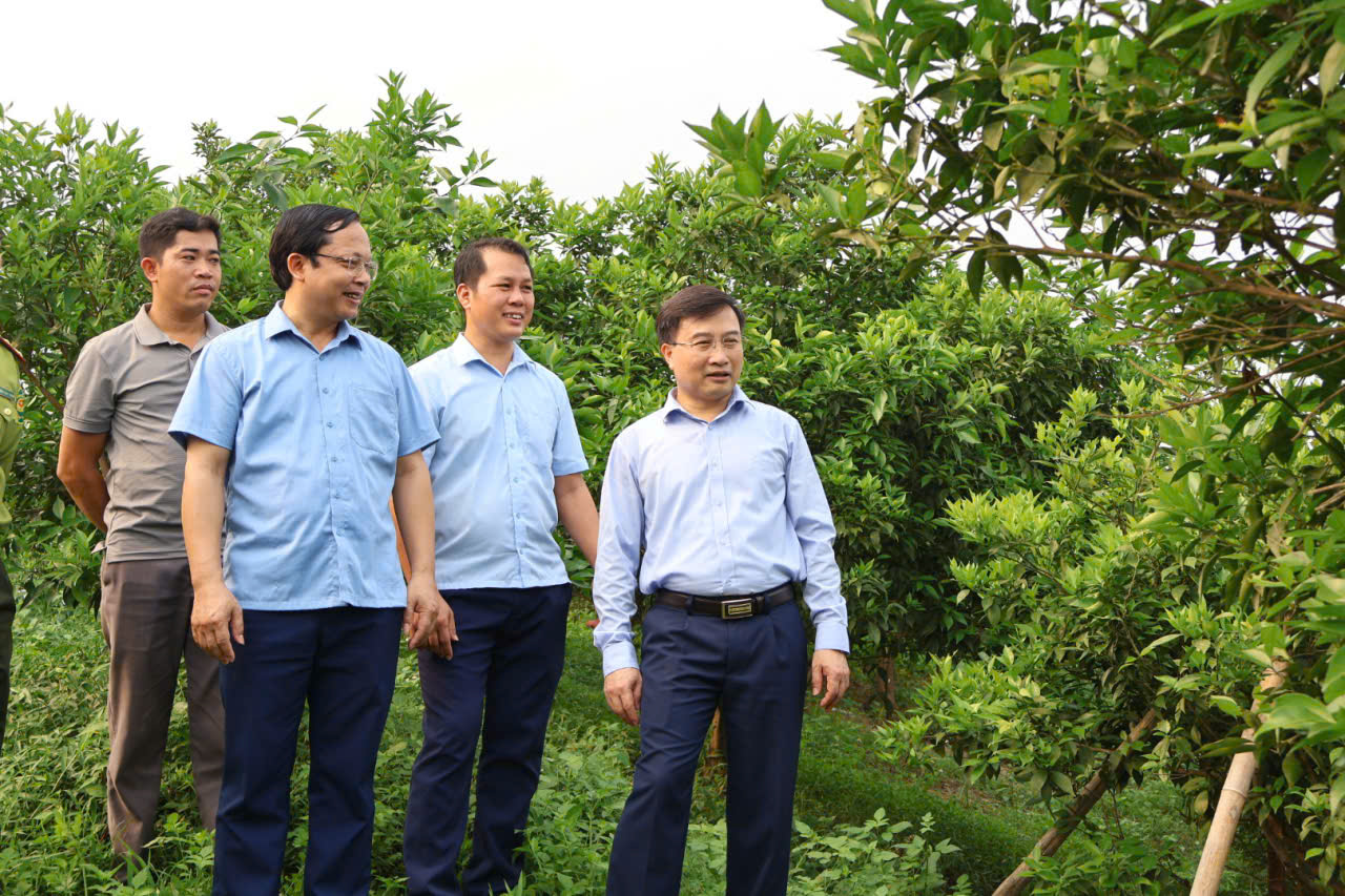 Sở Nông nghiệp và Môi trường khảo sát thực tế các mô hình sản xuất tại xã Vĩnh Tuy, Hùng An