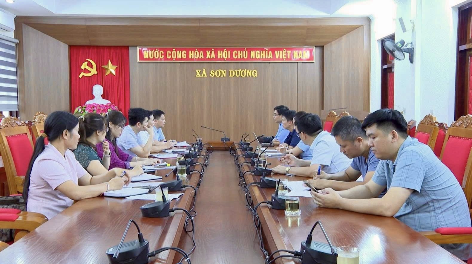 Sơn Dương quyết tâm mở hướng đi mới từ mô hình trồng dứa