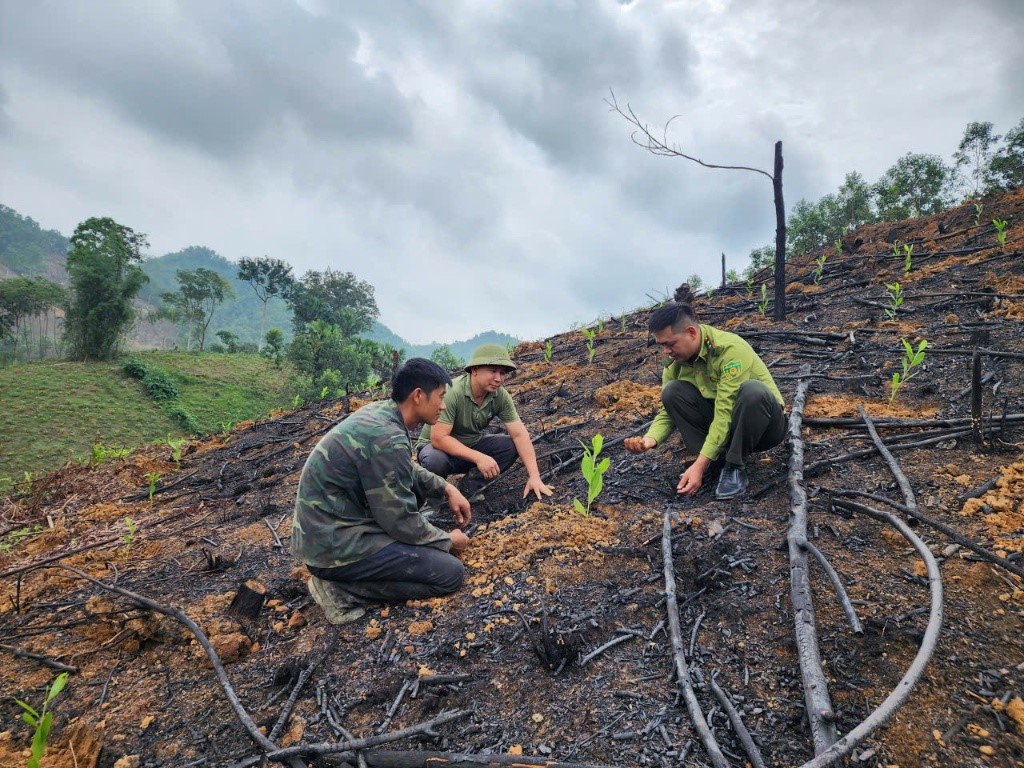 HẠT KIỂM LÂM KHU VỰC IV TẬP TRUNG THỰC HIỆN ĐỒNG BỘ CÁC GIẢI PHÁP HOÀN THÀNH CHỈ TIÊU PHÁT TRIỂN RỪNG NĂM 2026